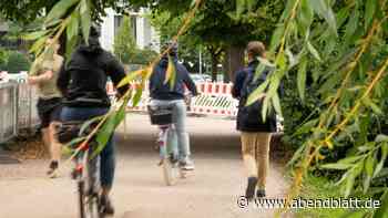 „Rad-Rambos“ an der Alster: Hamburger ärgern sich über rücksichtslose Radler