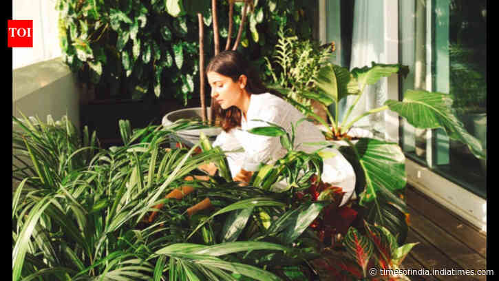 Anushka Sharma’s simple decor tips: Actor shares bold sofa, brick wall ideas; reveals close to 600 plants