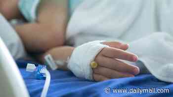 Child aged two is euthanised in Netherlands in first case of its kind