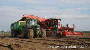 Rooierrace gestart, opbrengst beter in beeld