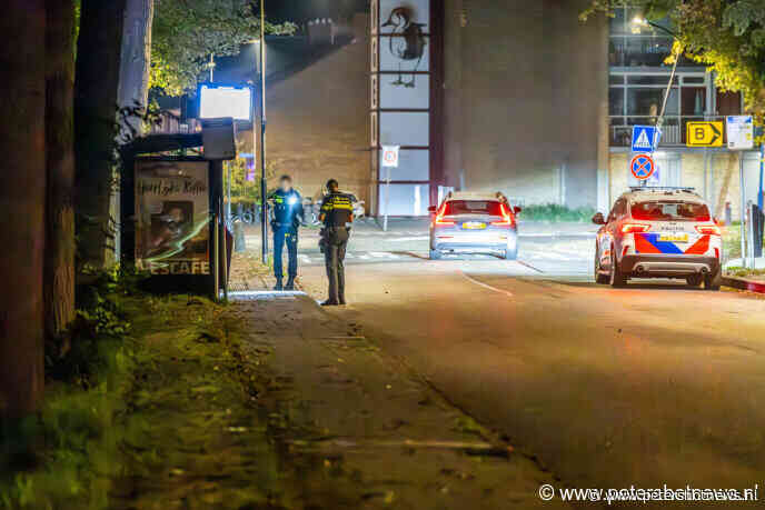 Jongen mishandeld in Vinkeveen