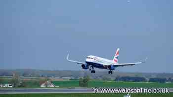 BA flight to Heathrow flight declares 'mid-air incident' as it makes emergency landing