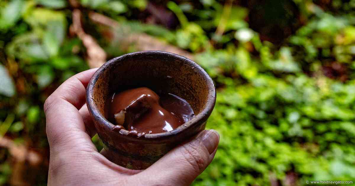 Can nature save cocoa? Industry’s response to a supply crisis