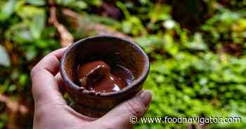 Can nature save cocoa? Industry’s response to a supply crisis
