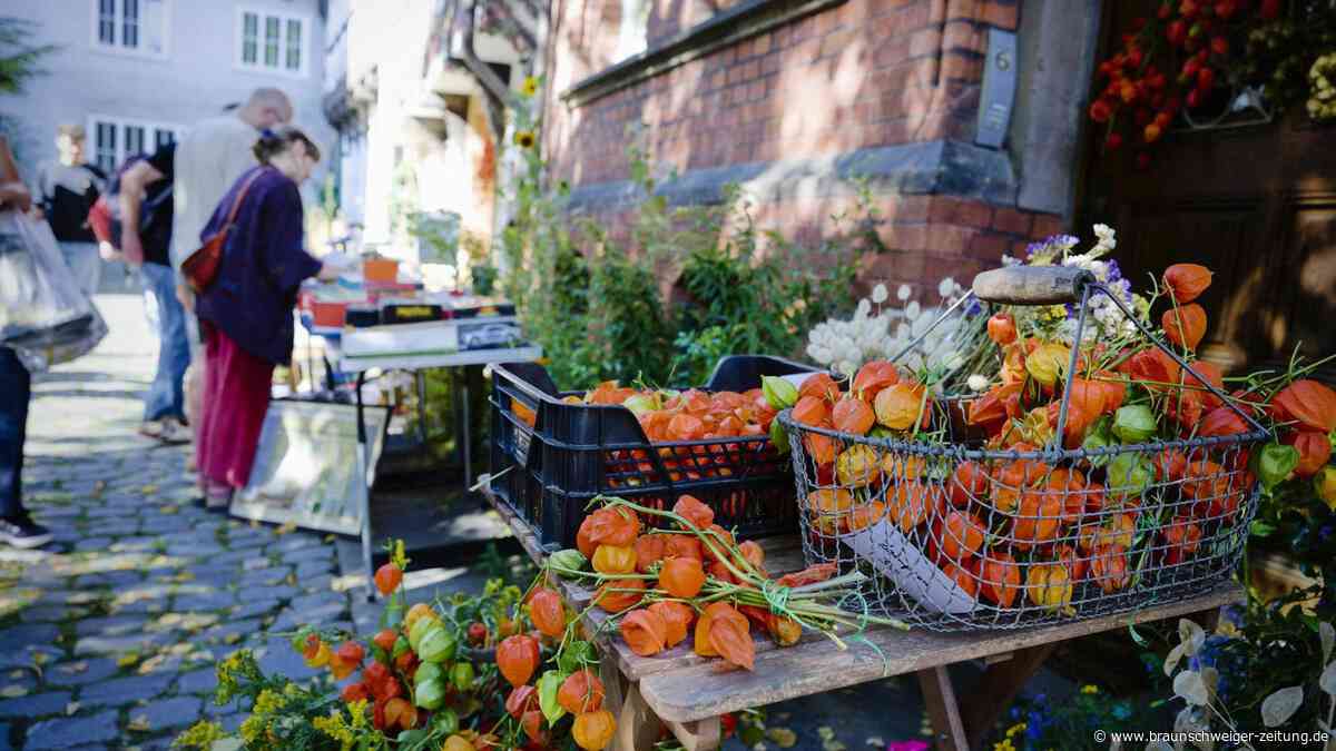 Ein Dorfflohmarkt inmitten von Braunschweig: in den Innenhöfen des Magniviertels