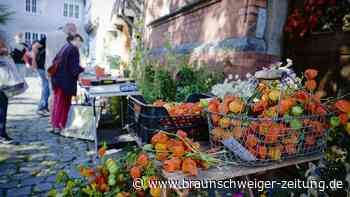 Ein Dorfflohmarkt inmitten von Braunschweig: in den Innenhöfen des Magniviertels