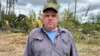 Woodlot producer forced to downsize, sell to U.S. after Nackawic mill stopped taking his wood