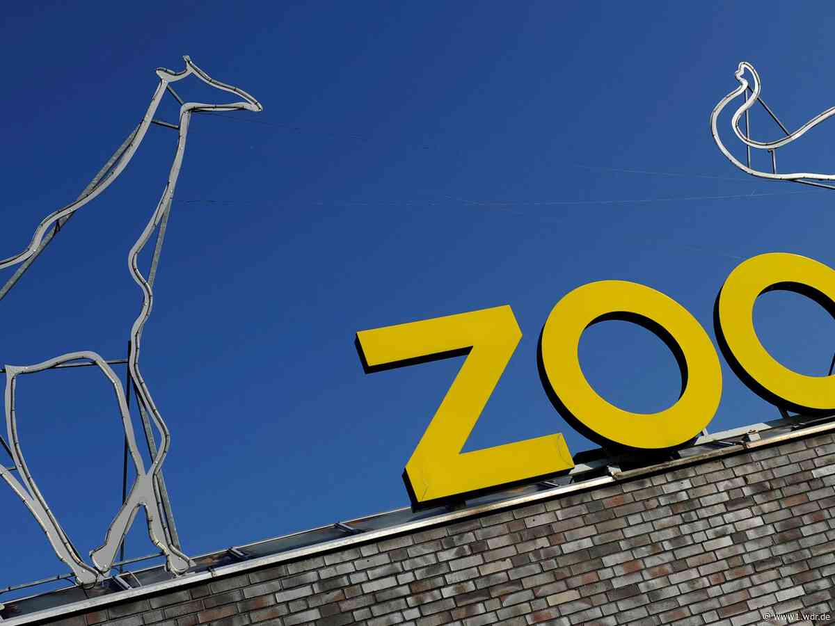 Vogelgrippe im Kölner Zoo: Einschränkungen für Besucher