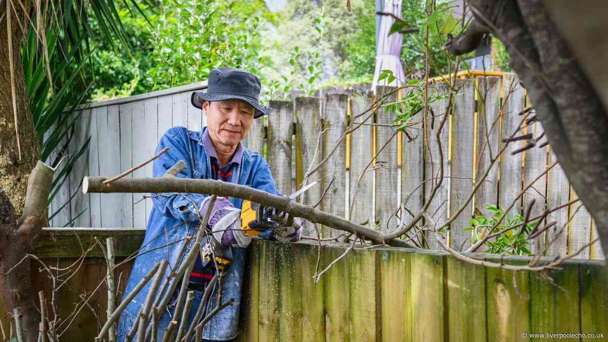 Can you cut a neighbour's overhanging tree branches? Lawyer explains the rules