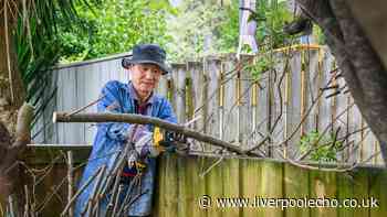 Can you cut a neighbour's overhanging tree branches? Lawyer explains the rules
