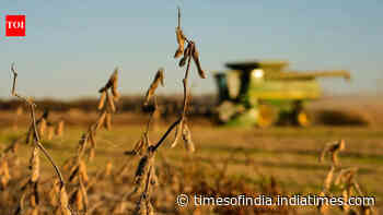 China cuts tariffs on US farm goods, but keeps soybeans on the other side