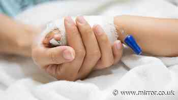 Two-year-old euthanised in Netherlands in first assisted dying case of its kind