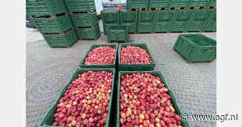 Hoge olieprijzen jagen kosten van Poolse appelteelt en export op