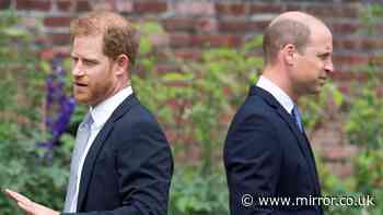 Prince William declines Diana documentary offer to avoid ‘being pitted against’ Prince Harry