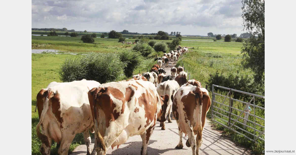 Integrale Bio-Melkprijs FrieslandCampina in oktober naar 72,84 euro