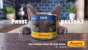 Internationale Kampagne: KNSK präsentiert Josera als perfektes Match für wählerische Katzen