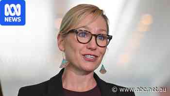 Greens leader Larissa Waters steps down due to illness