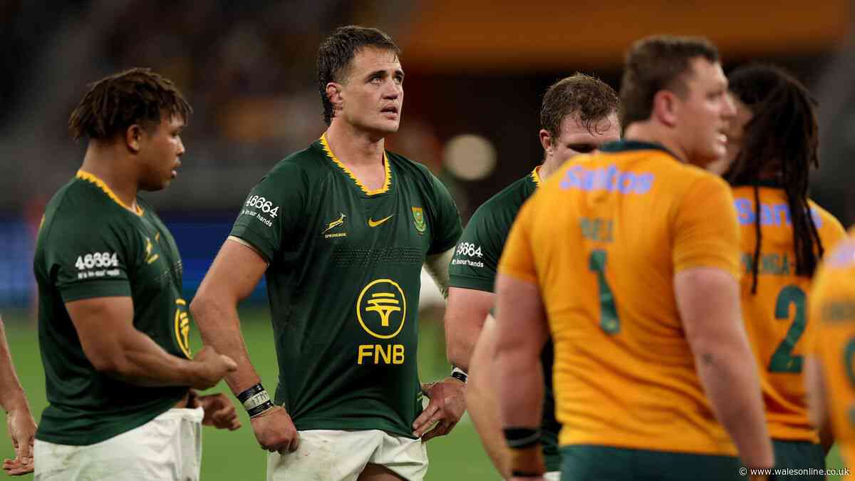 World Rugby confirm Springboks record gone as new rankings published