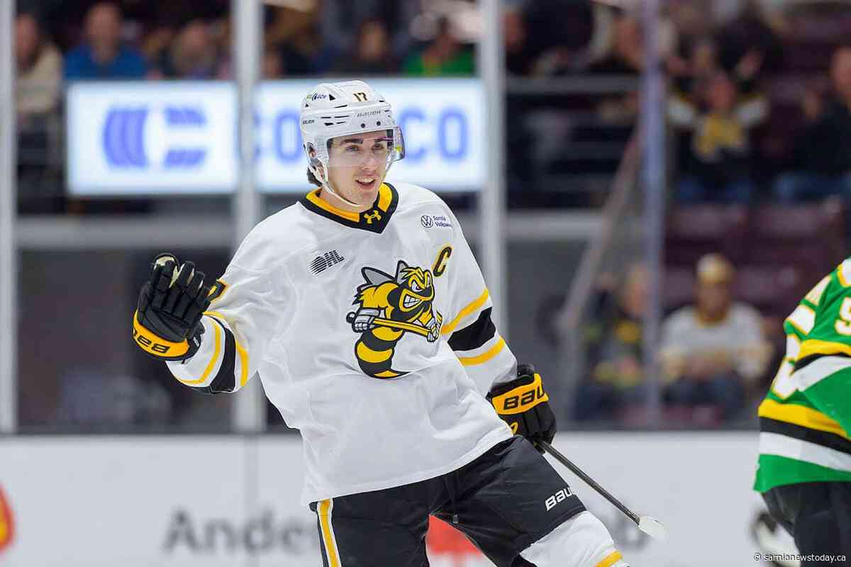 Sarnia Sting snap nearly two-decade road losing streak in Ottawa