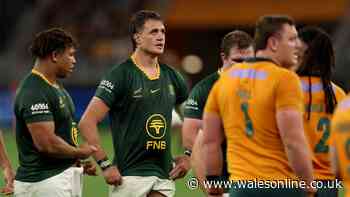 World Rugby confirm Springboks record gone as new rankings published