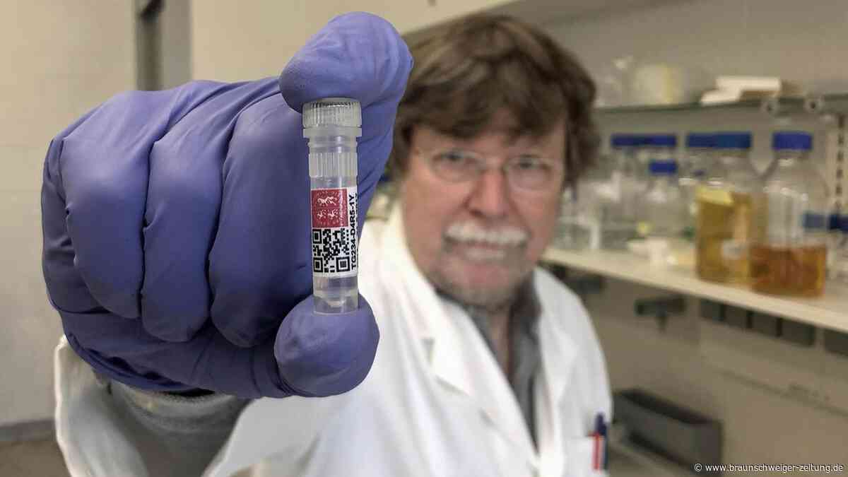 „Uns läuft die Zeit davon“: Warum Braunschweiger Biotech-Pionier Alarm schlägt