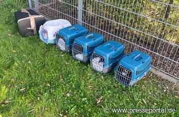 POL-HS: Zeugen nach Aussetzung von 17 Katzen gesucht