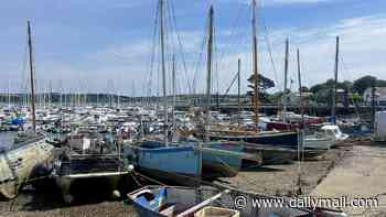 New Channel chaos: Investigation launched after 18 migrants disappear from quiet Cornish harbour after arriving by yacht in middle of the night