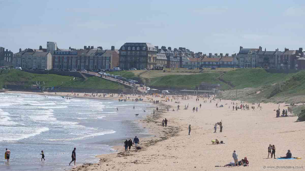 North East beach adored by the stars ranked third best in the UK for autumn walk