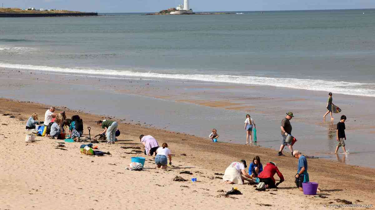 River Tyne nurdle spill update with plastic pellets likely to have dispersed into North Sea