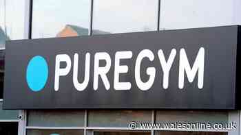 New 24-hour gym to open in Swansea retail park