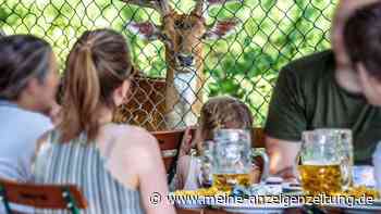 In Deutschland gibt es den größten Biergarten der Welt