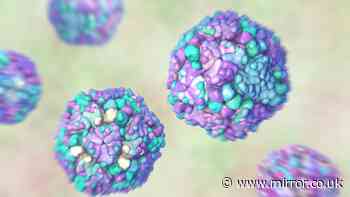 Infection with 'no treatment' which can cause meningitis hits 16 EU countries