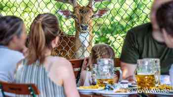 In Deutschland gibt es den größten Biergarten der Welt