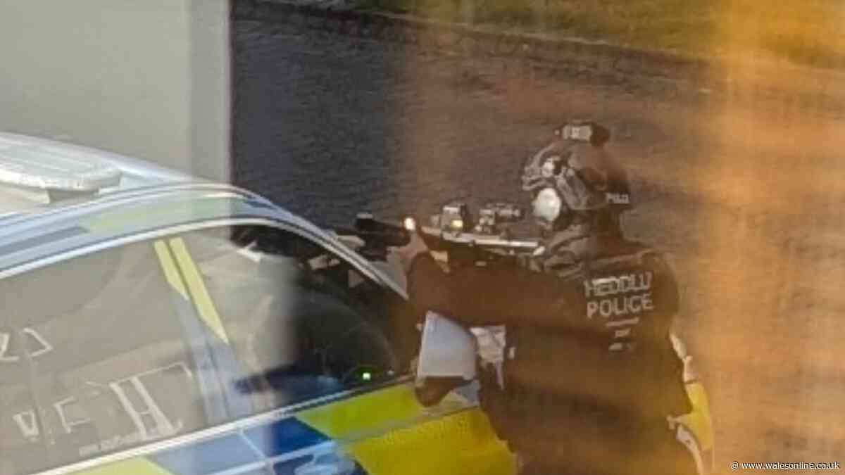 Armed police train weapons on house in quiet residential street as woman arrested