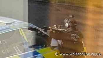 Armed police train weapons on house in quiet residential street as woman arrested