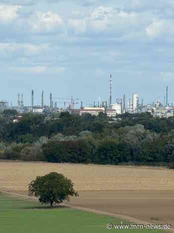 Ludwigshafen – Kommunalfinanzen in Rheinland-Pfalz: Gericht weist Klagen gegen Schlüsselzuweisungen ab