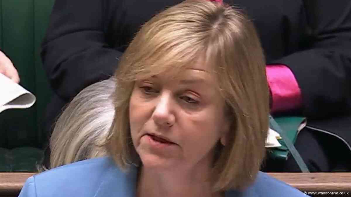 DWP child maintenance CMS not 'adequate' update and 'urgent action' - key details