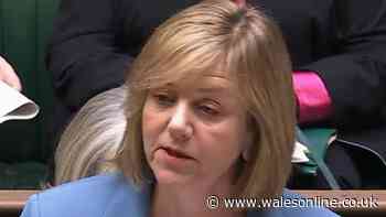 DWP child maintenance CMS not 'adequate' update and 'urgent action' - key details