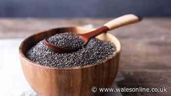 Doctor says mix cheap seed into your meal to protect your heart