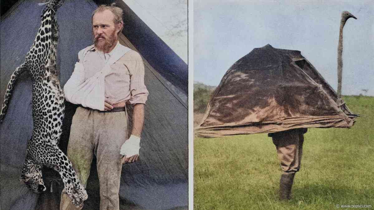 The ‘Father of Modern Taxidermy’ wrestled leopards and worked for P.T. Barnum