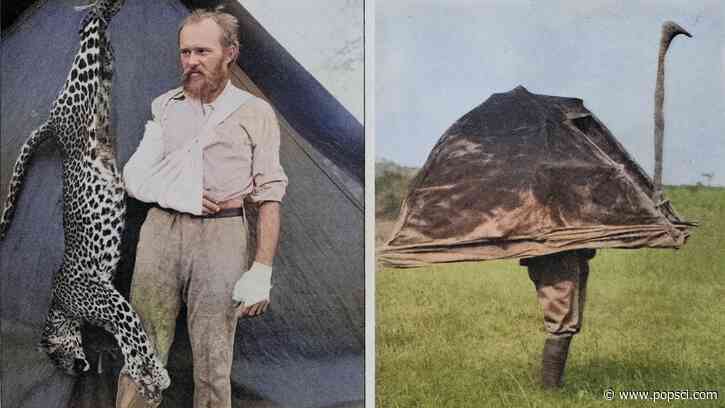The ‘Father of Modern Taxidermy’ wrestled leopards and worked for P.T. Barnum