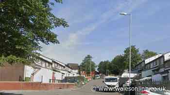 Man, 52, dies suddenly in Rhydyfelin with police and air ambulance called to the scene
