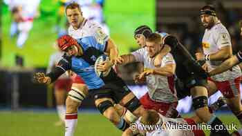 England and Lions great calls for two Welsh teams to join English Prem