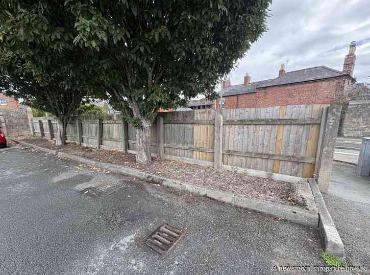 Water management projects to transform town areas