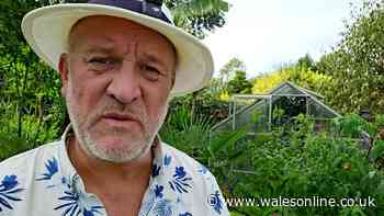 Gardening expert shares vital 10 jobs to tackle before September ends