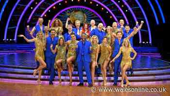 Strictly Come Dancing fans 'can't believe it's her' as 'hidden' talent of pro uncovered