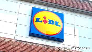 New Lidl 'double' air fryer similar to £200 Ninja model coming out Sunday