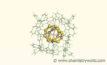 Elemental sulfur found in mammalian cells for first time