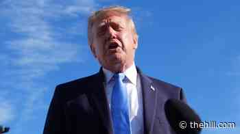 Former White House ethics attorney: Taxpayer-funded ads could be 'impeachable offense'