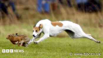 Three men arrested on suspicion of hare coursing